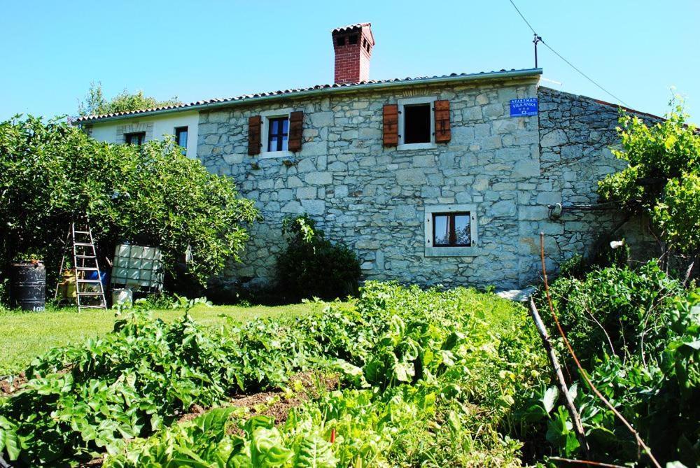 Casa Anka Villa Gračišće Exterior foto